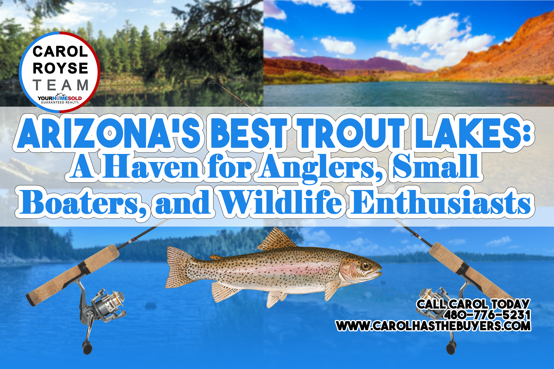 Arizona’s Best Trout Lakes: A Haven for Anglers, Small Boaters, and Wildlife Enthusiasts